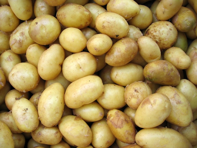 Kentang